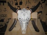 Bisonschädel verziert mit Federn